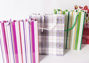 オリジナル袋(紙・ビニール)